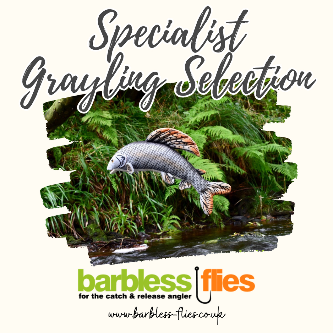 Specialist Grayling Selection - NEW for 2023