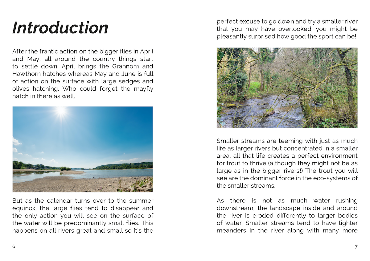 FLY Series: Small Streams & Small Flies