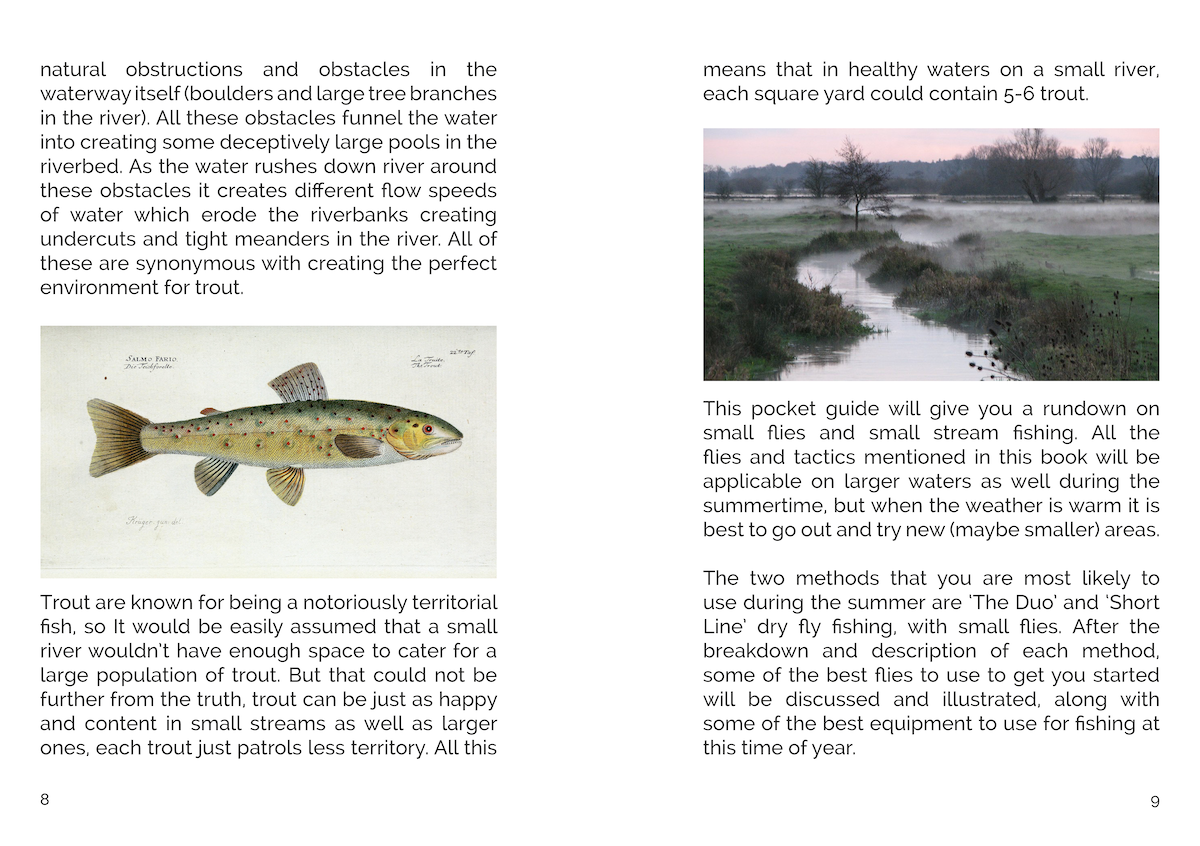 FLY Series: Small Streams & Small Flies