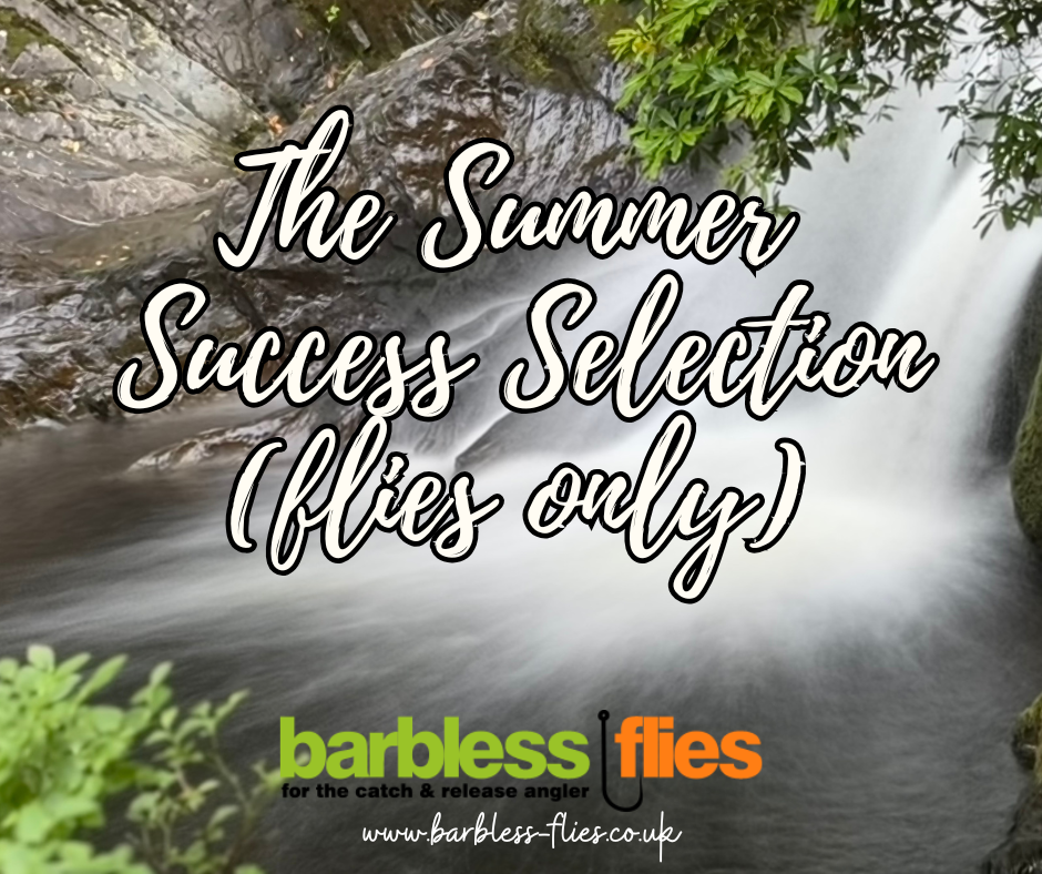 The Summer Success Selection