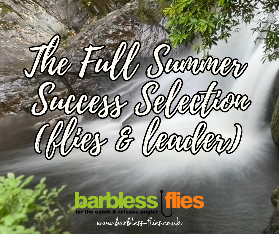 The Summer Success Selection