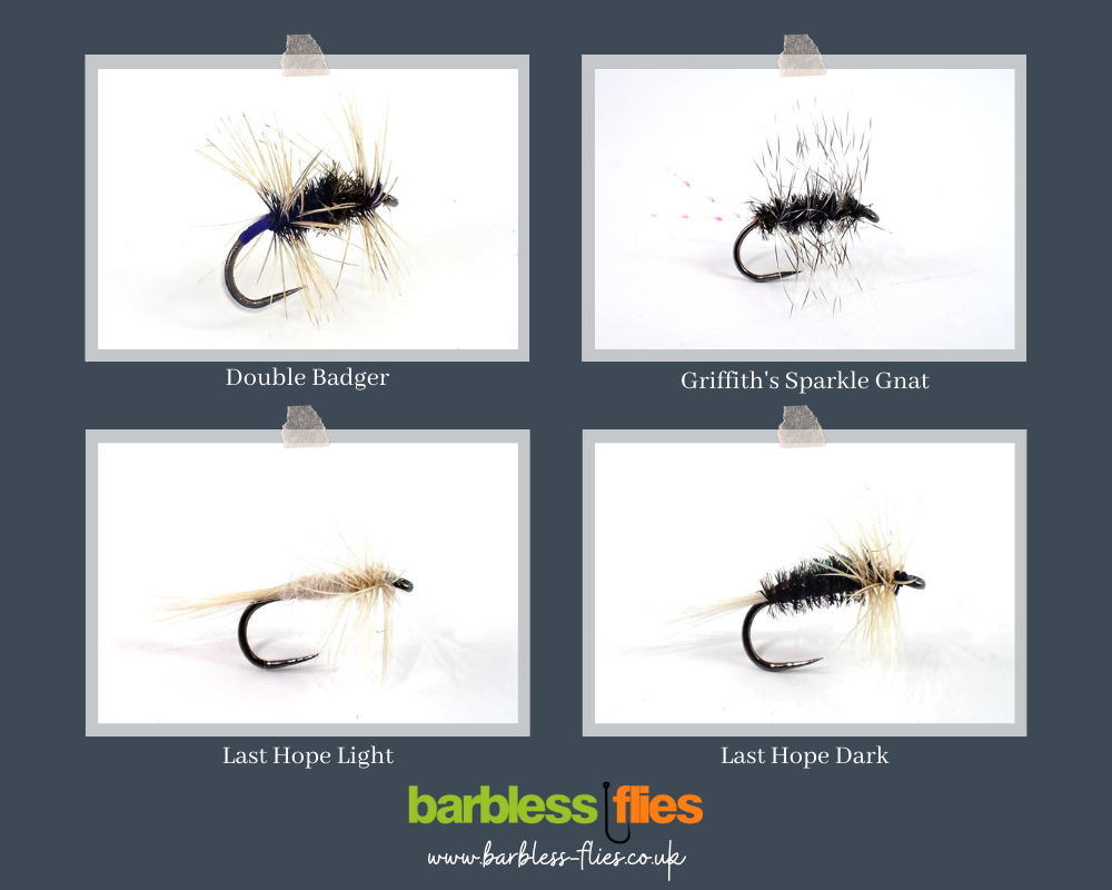 "Don't Get Skunked" This Summer