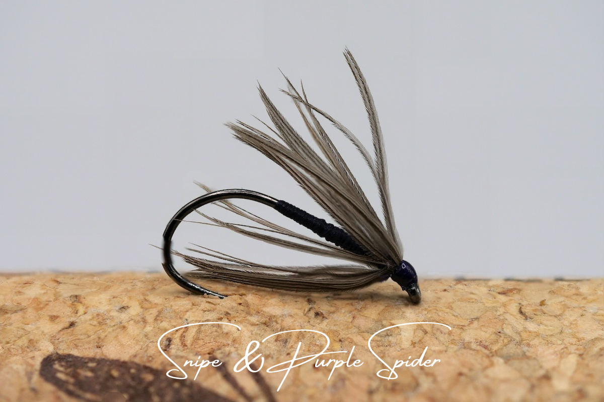 Snipe & Purple Spider