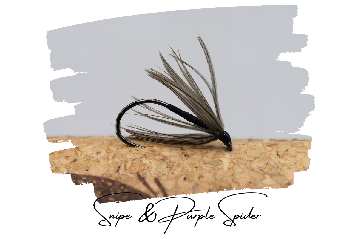 Snipe & Purple Spider