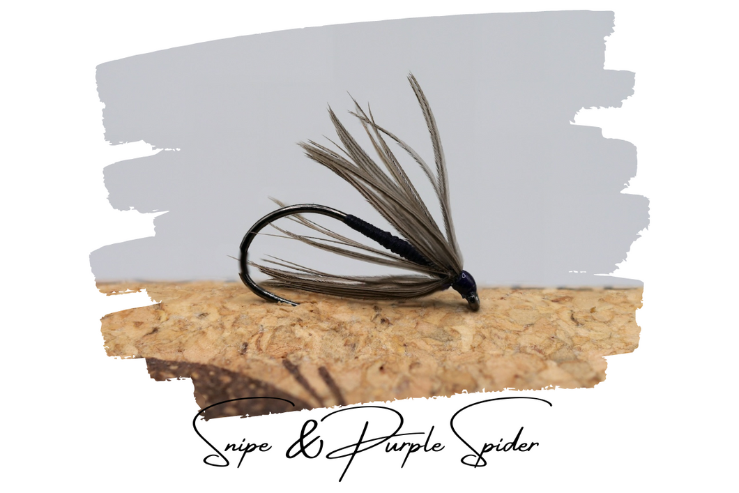 Snipe & Purple Spider