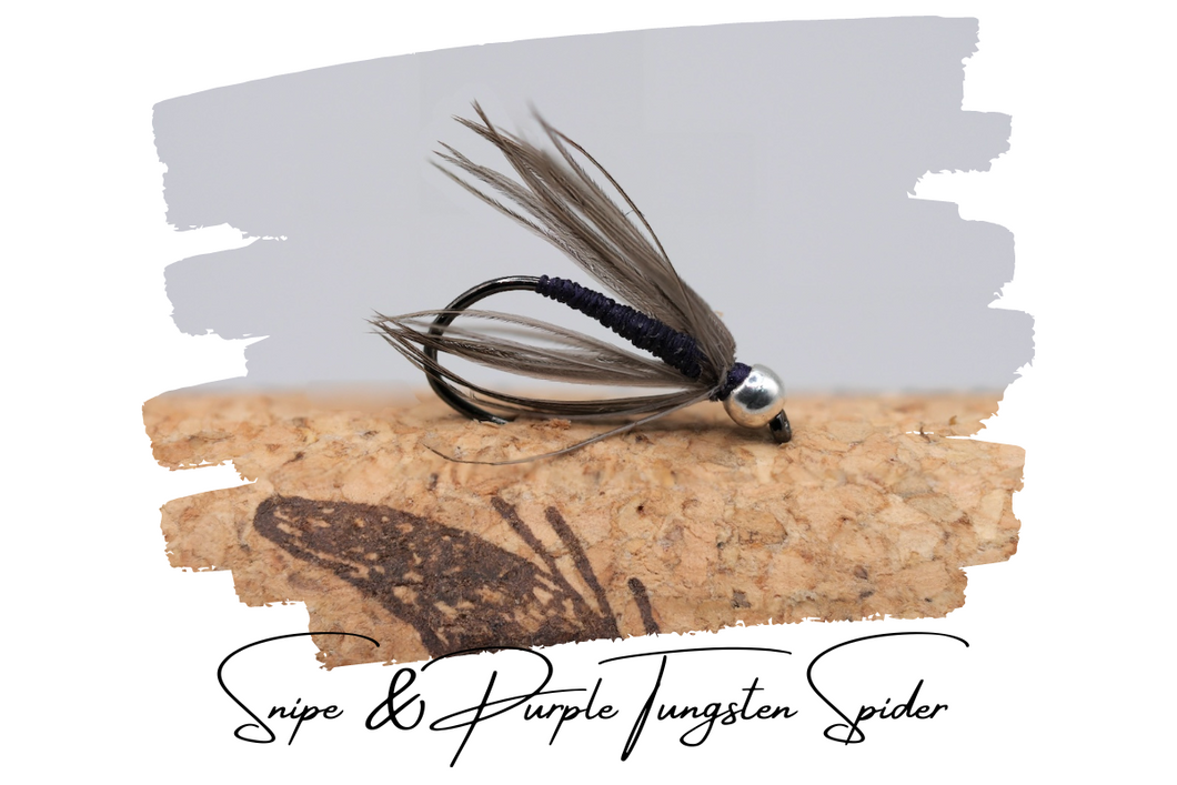 Snipe & Purple Tungsten Spider