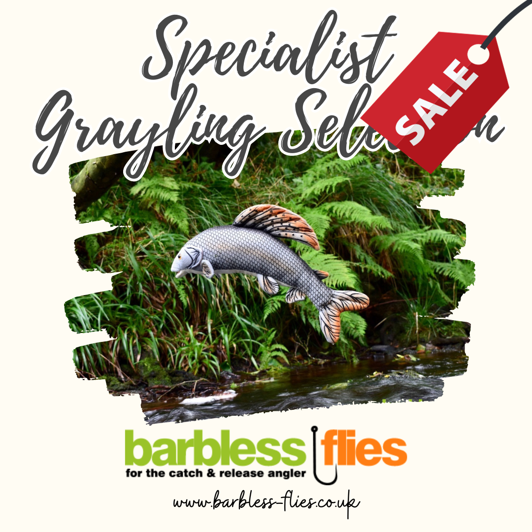 Specialist Grayling Selection - from Barbless Flies