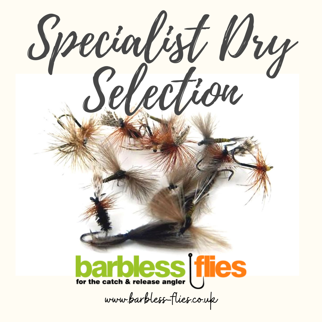Specialist Dry Selection - New for 2026