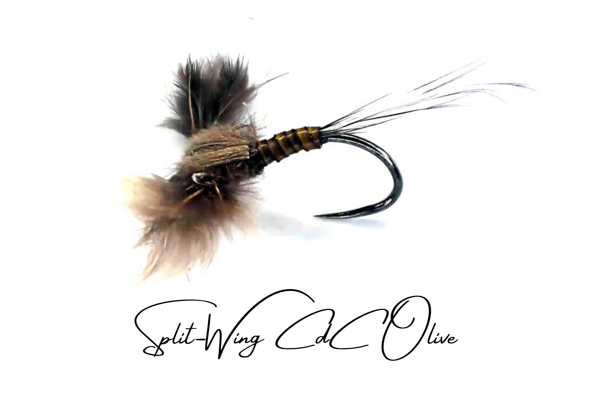 Split-Wing BWO - Specialist Dry