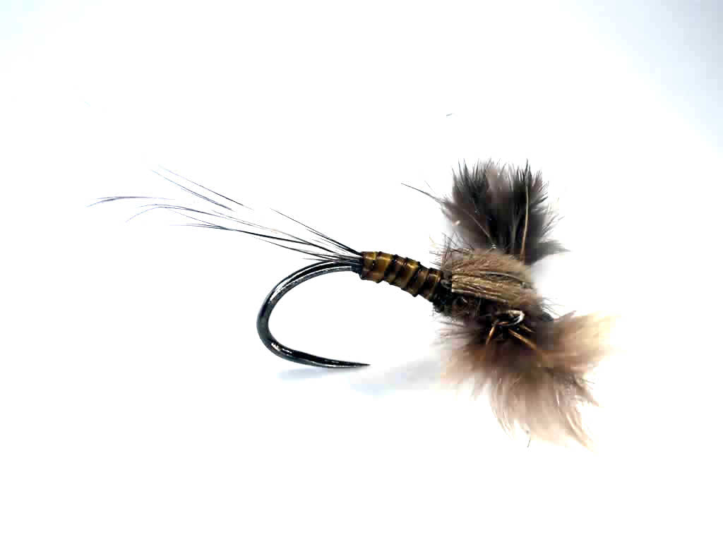Split-Wing BWO - Specialist Dry