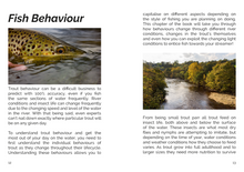 Load image into Gallery viewer, FLY Series: Streamer Fishing Tactics
