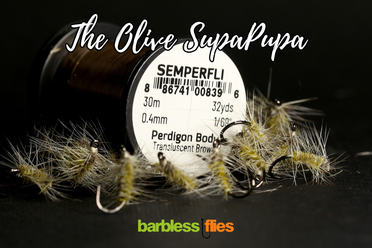Bosnian SupaPupa Selection