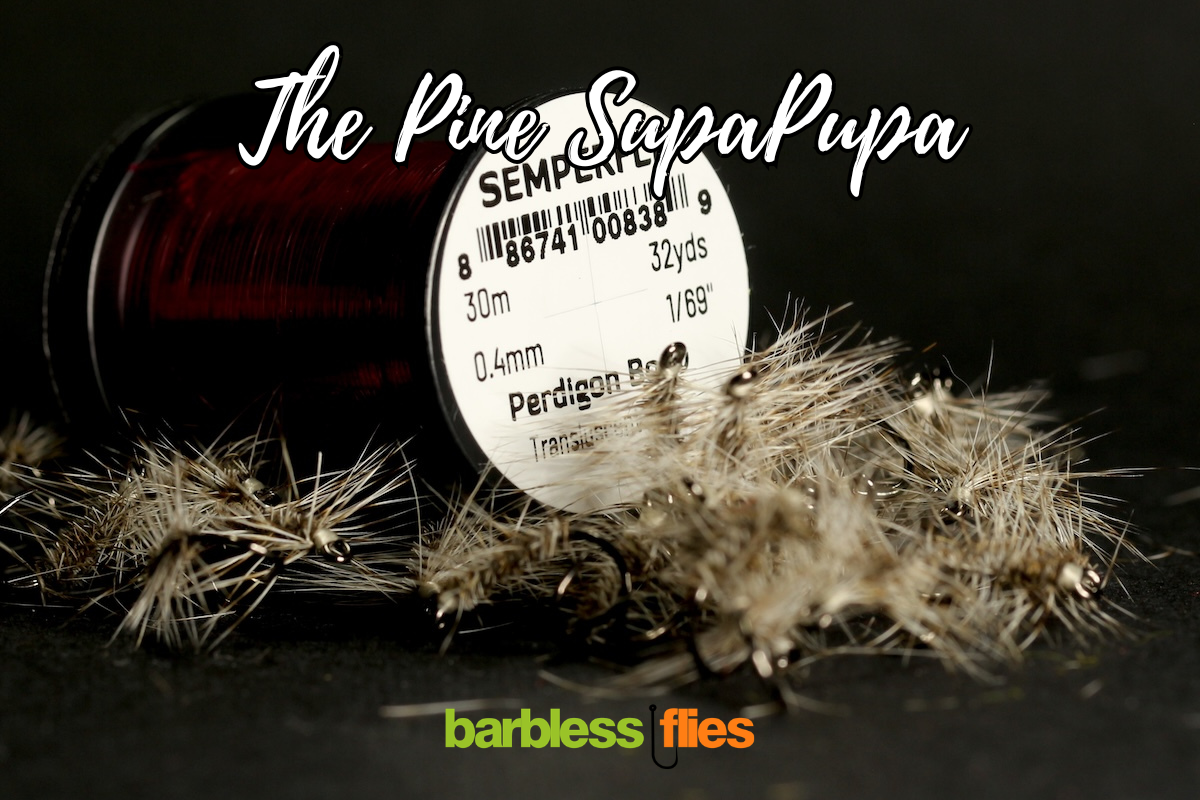 Bosnian SupaPupa Selection