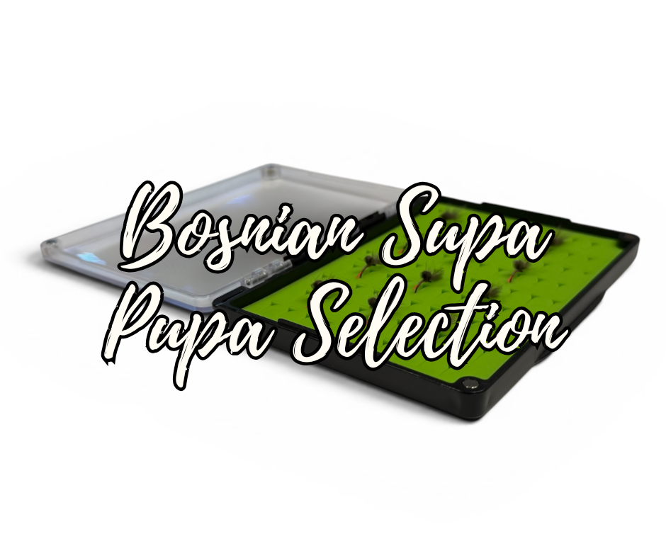Bosnian SupaPupa Selection