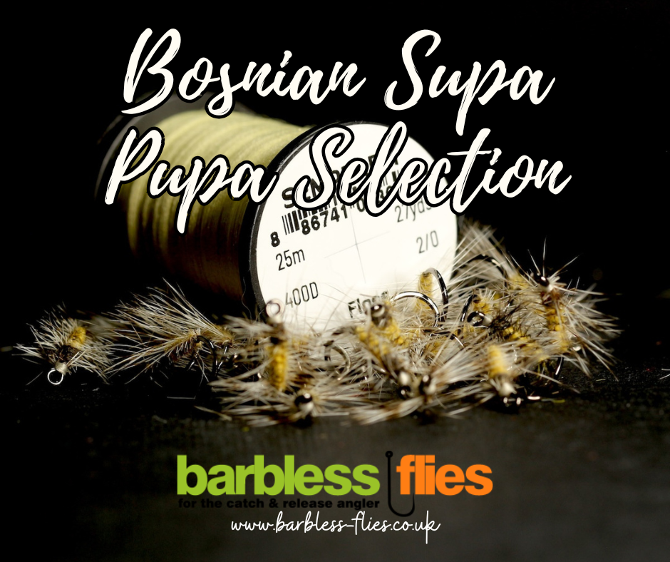Bosnian SupaPupa Selection