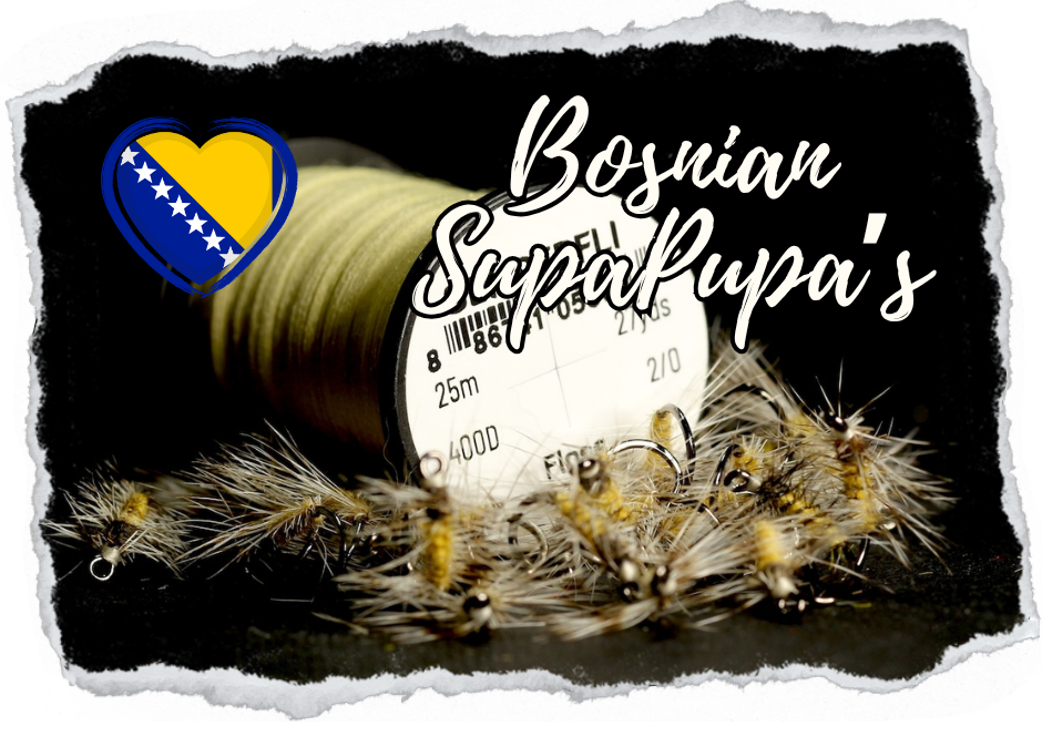 Bosnian SupaPupa Selection