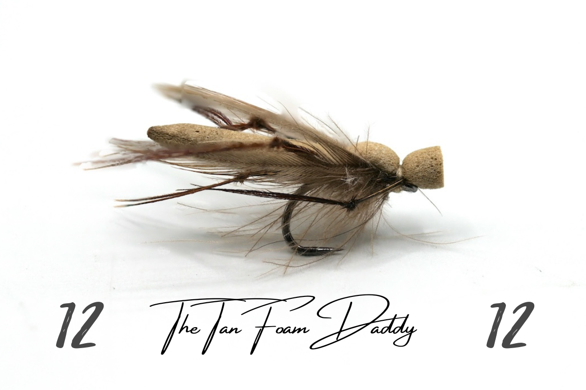 The Tan Foam Daddy - Artisan Range