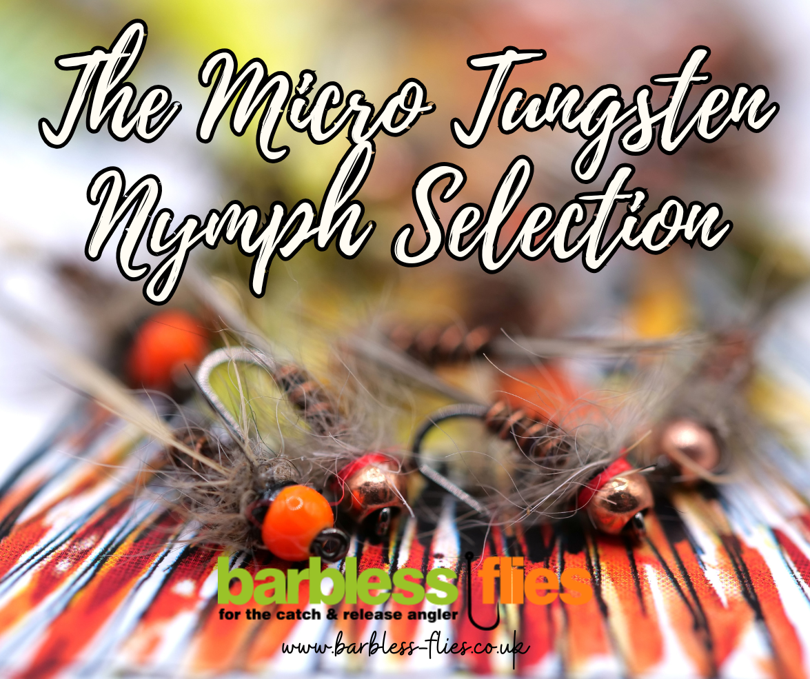 Micro Tungsten Nymph Selection