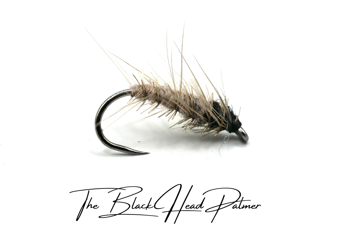 The Black Head Palmer