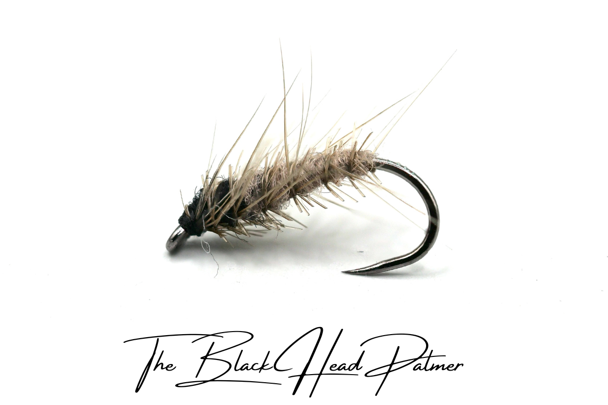 The Black Head Palmer