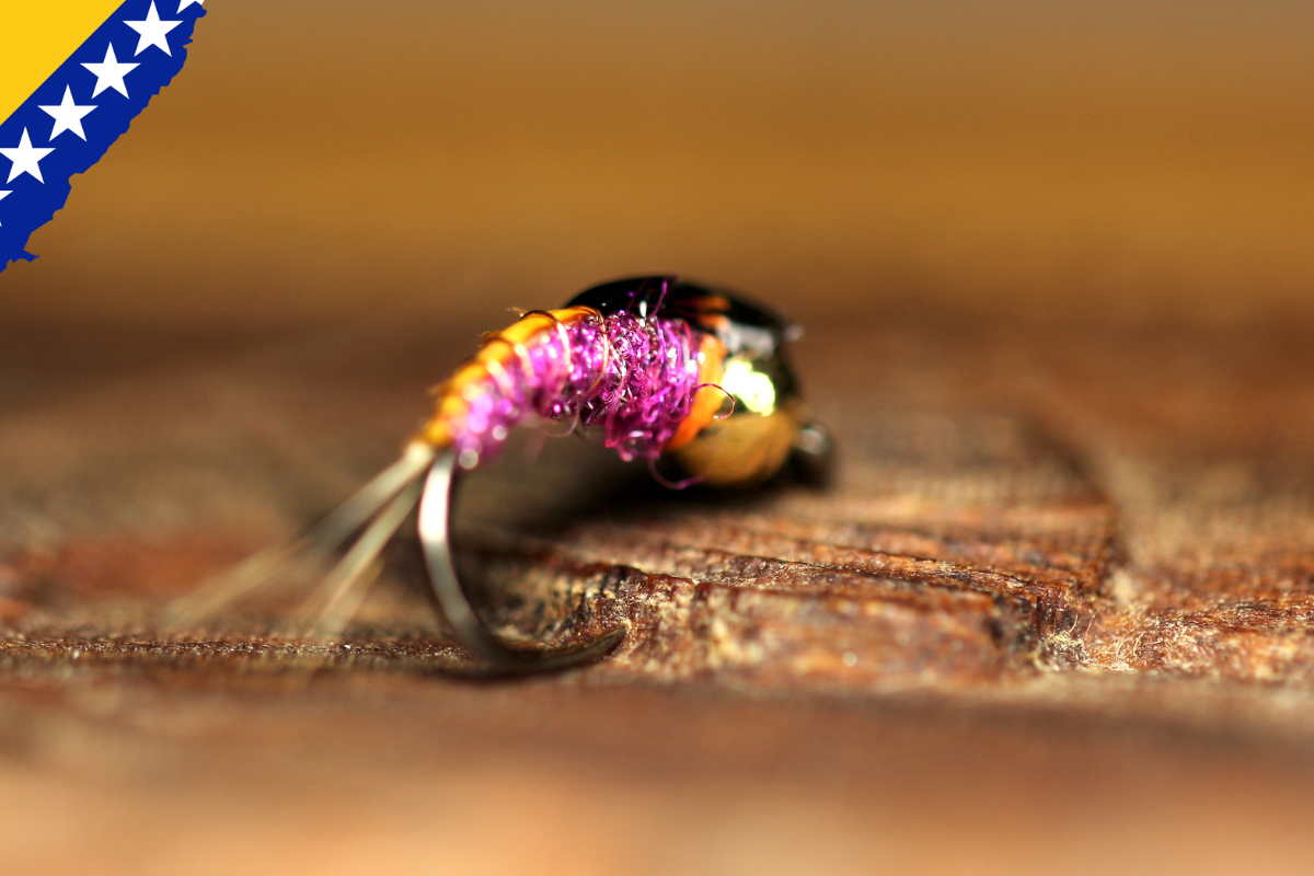 Bosnian Secret Autumn & Winter Nymphs