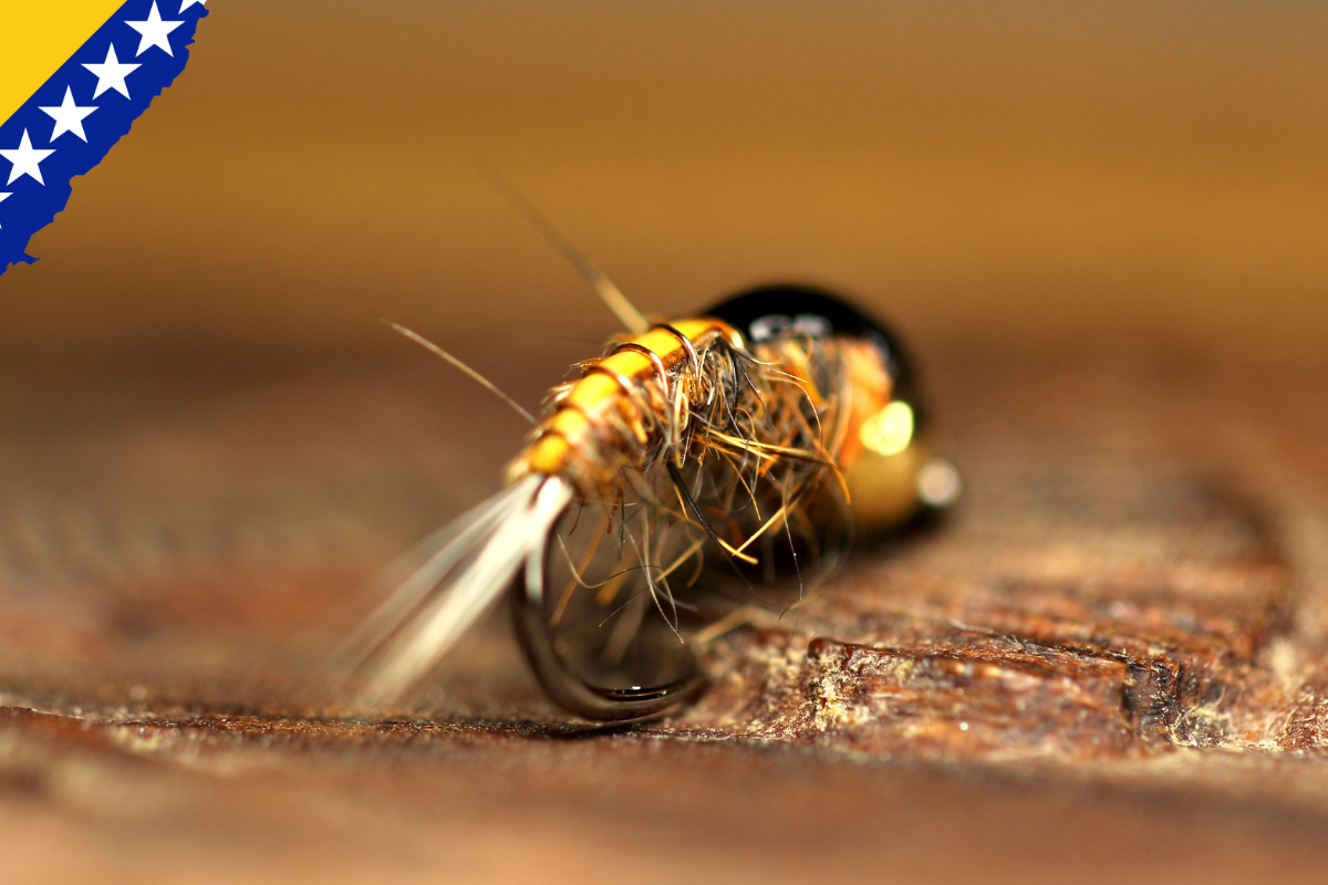 Bosnian Secret Autumn & Winter Nymphs