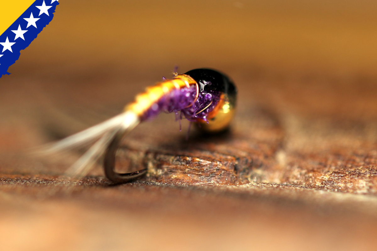Bosnian Secret Autumn & Winter Nymphs