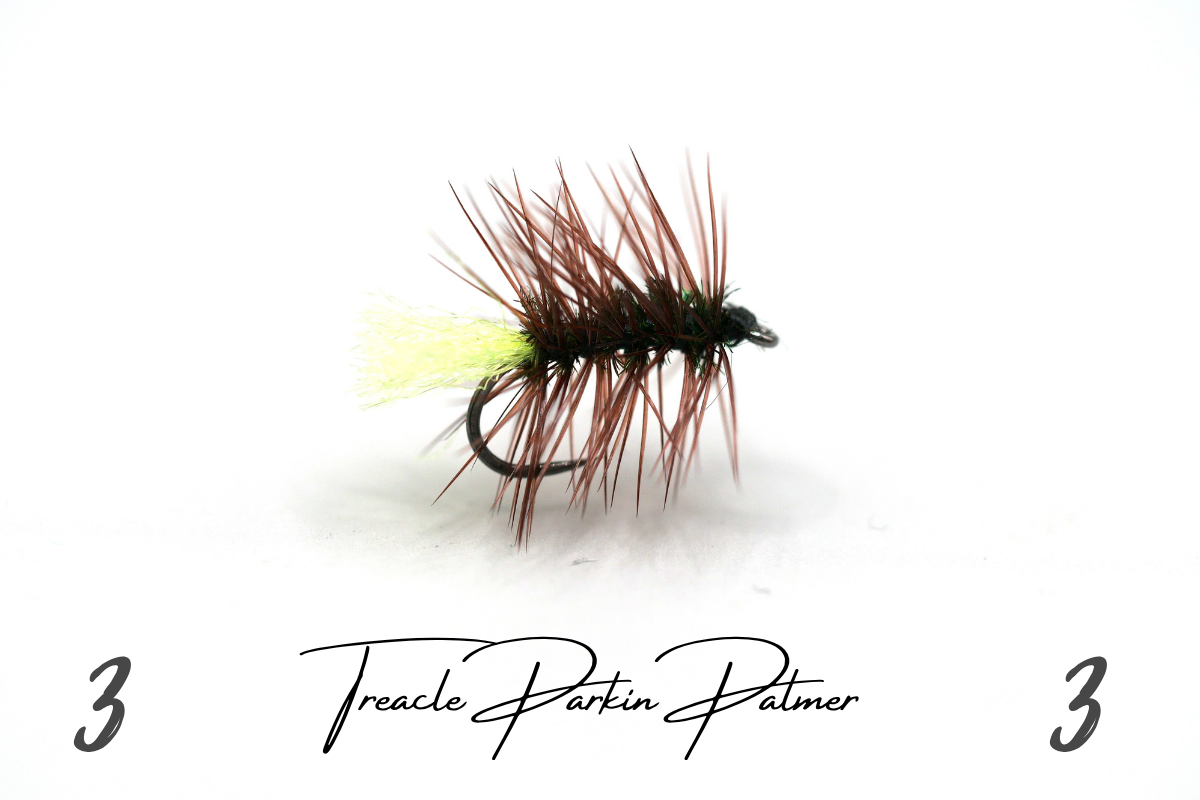 Treacle Parkin Palmer