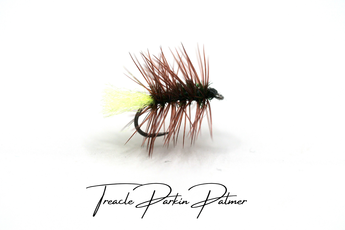 Treacle Parkin Palmer