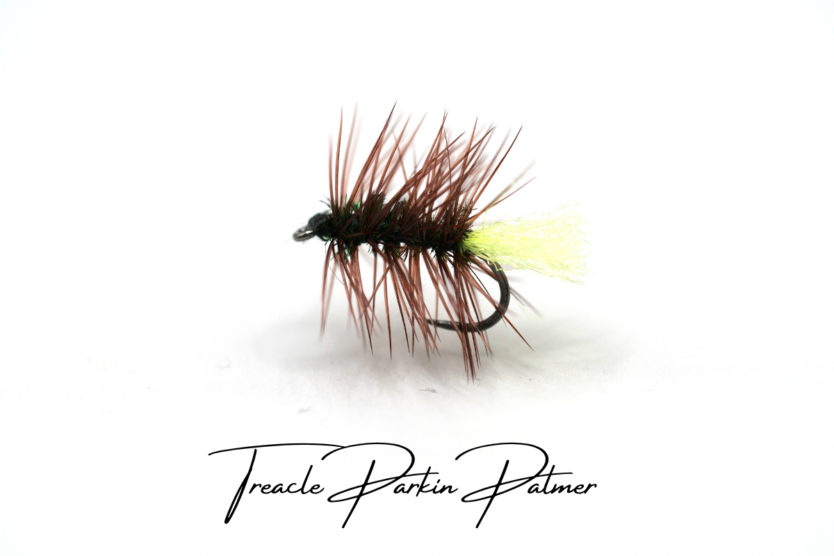 Treacle Parkin Palmer