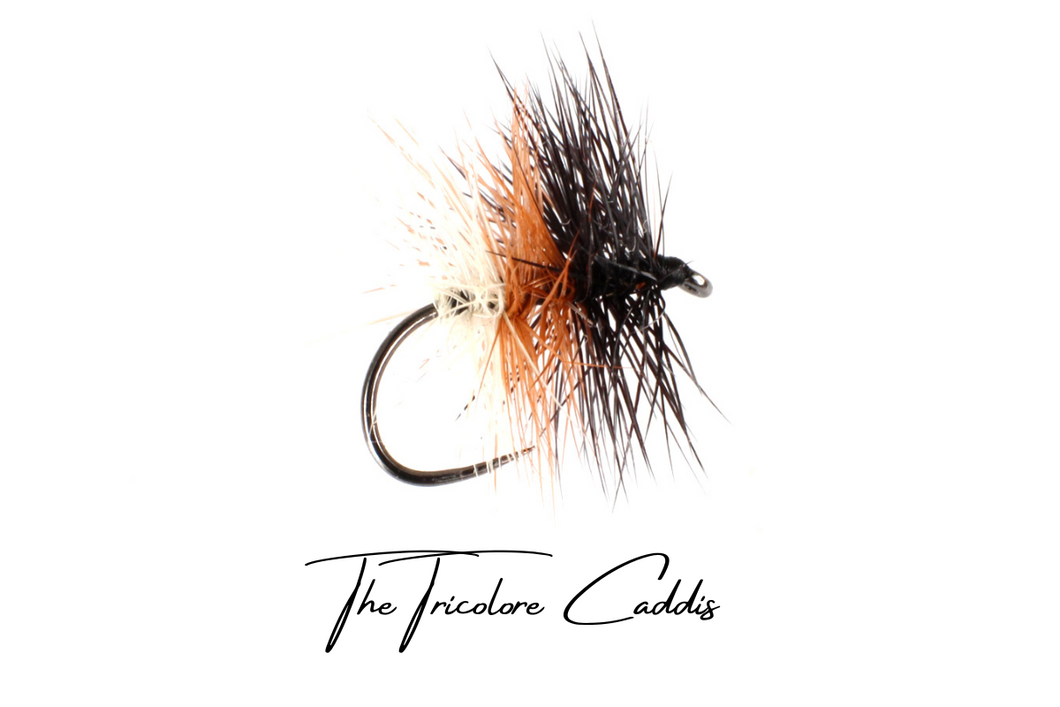 Tri-Colour Caddis (Tricolore)