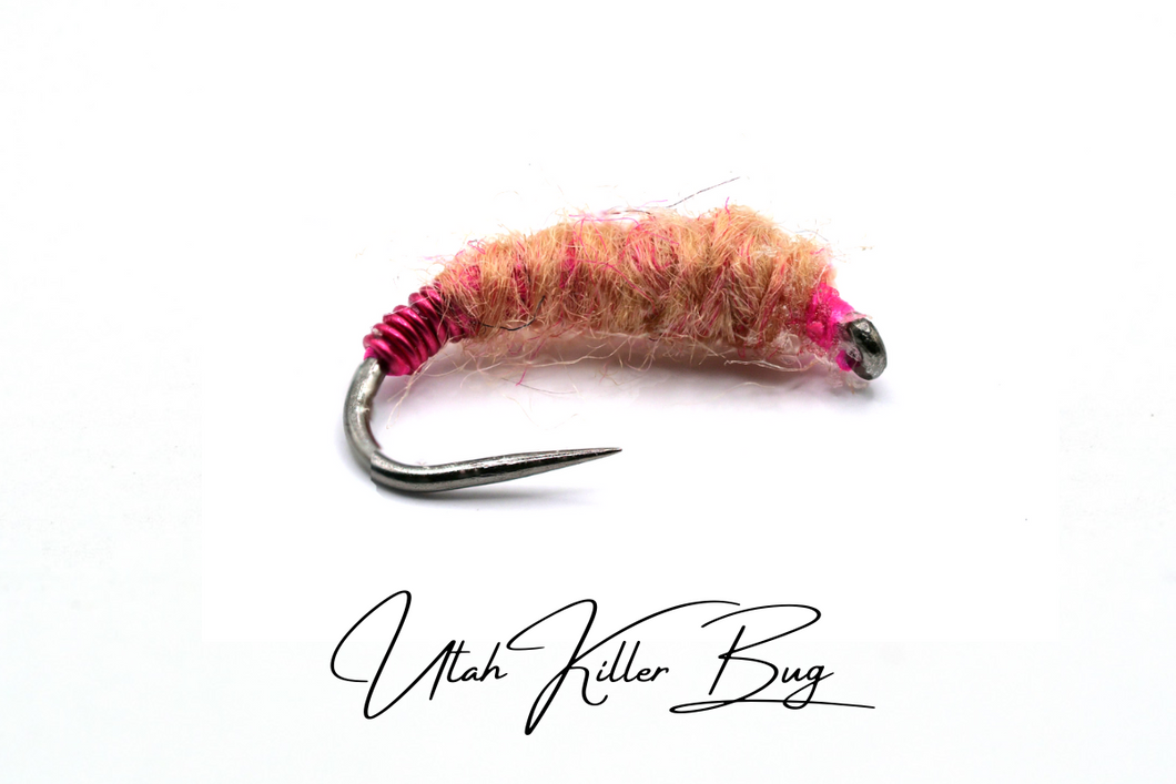 Utah Killer Bug