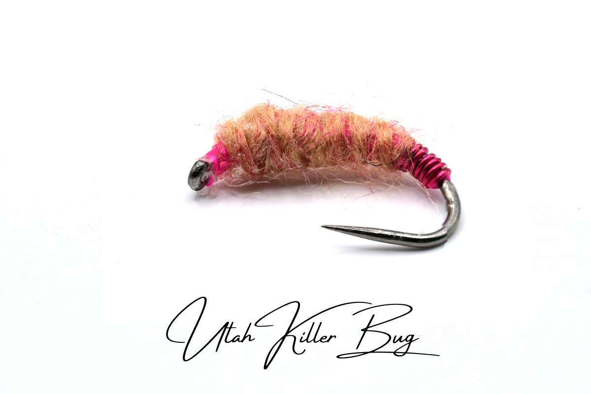 Utah Killer Bug Selection