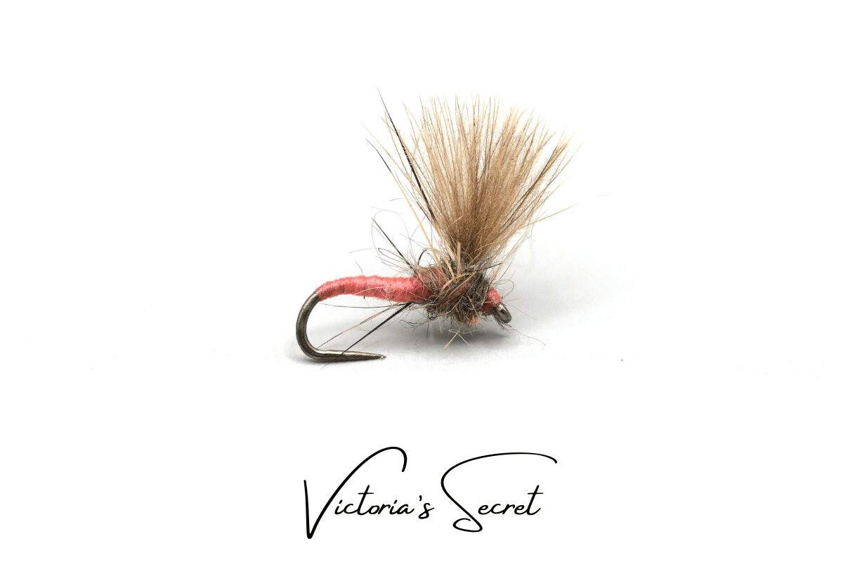 The River Whisperer Selection