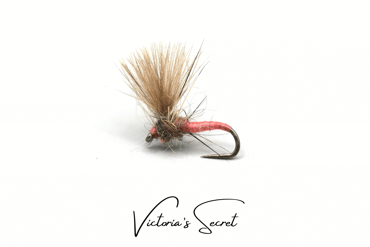 Victoria's Secret
