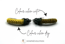 Load image into Gallery viewer, Stan&#39;s WFX Nymph Selection
