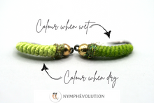 Load image into Gallery viewer, Stan&#39;s WFX Nymph Selection
