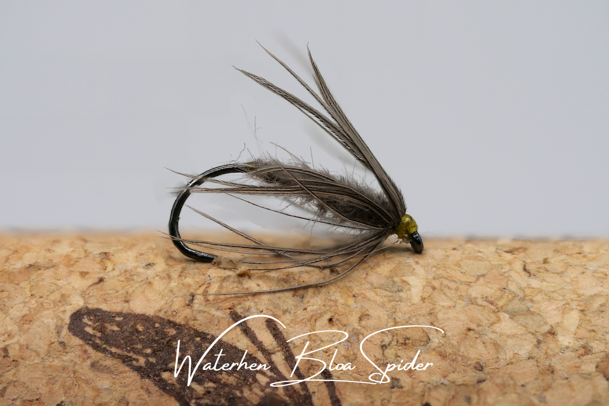 Artisan Luxury Spider Selection