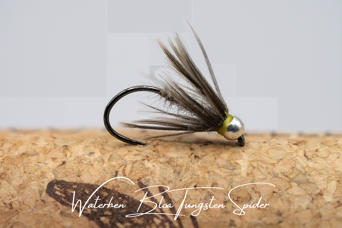 Artisan Luxury Spider Selection