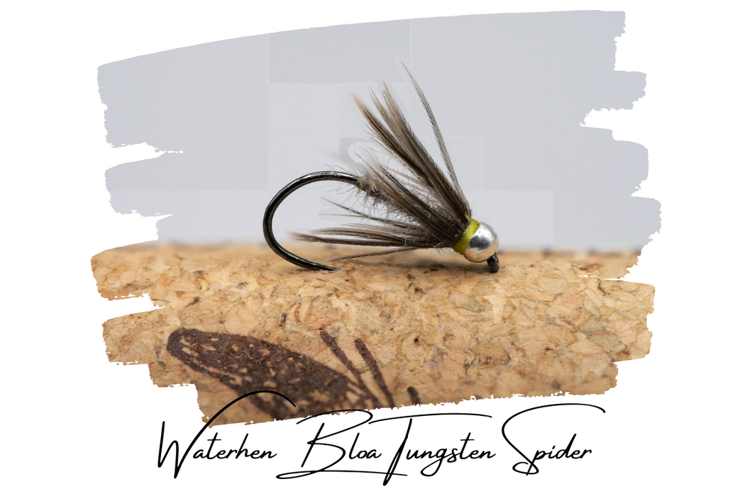 Waterhen Bloa Tungsten Spider