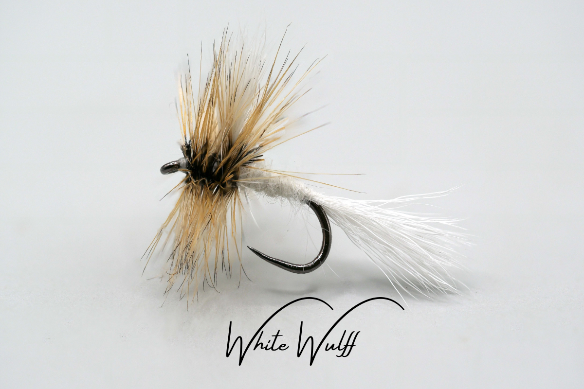 Wulff Selection