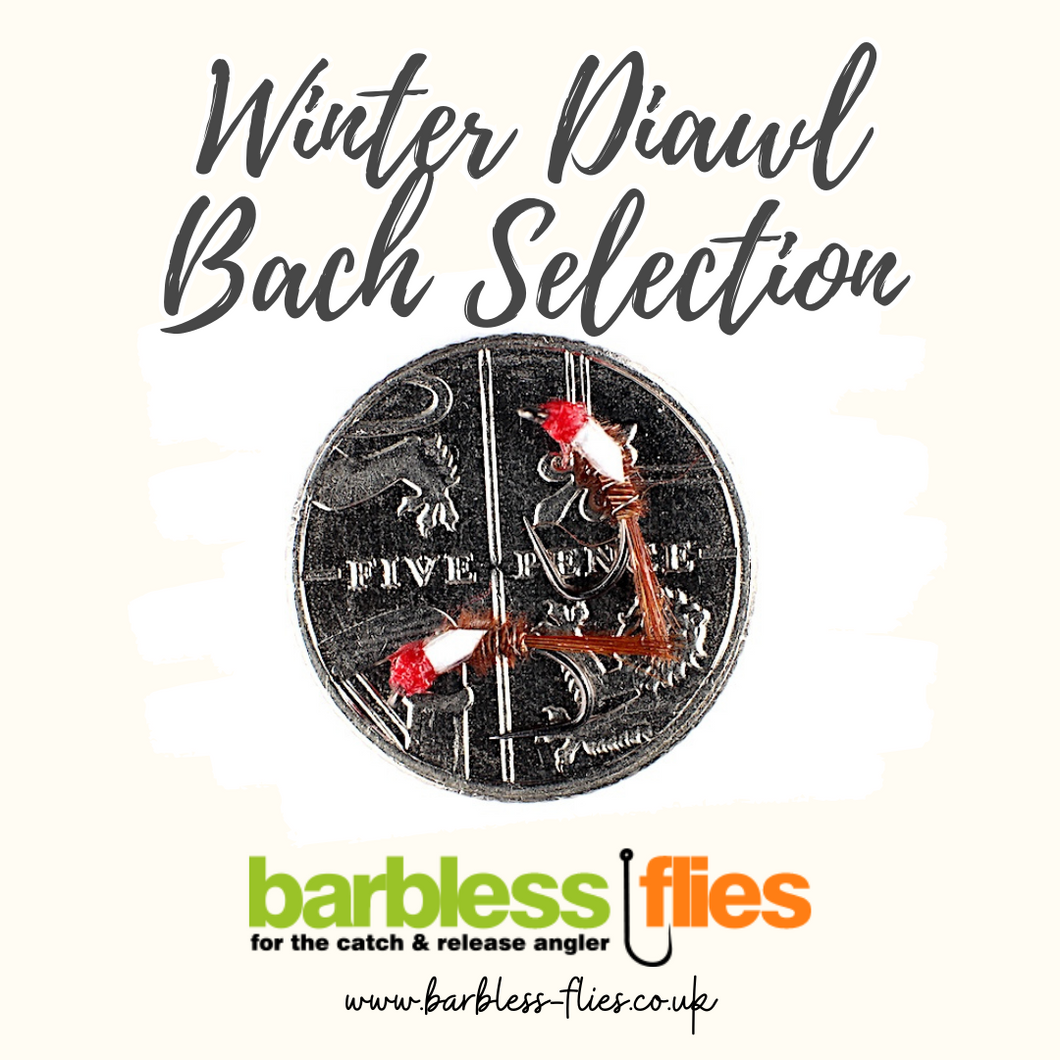 Winter Diawl Bach Selection