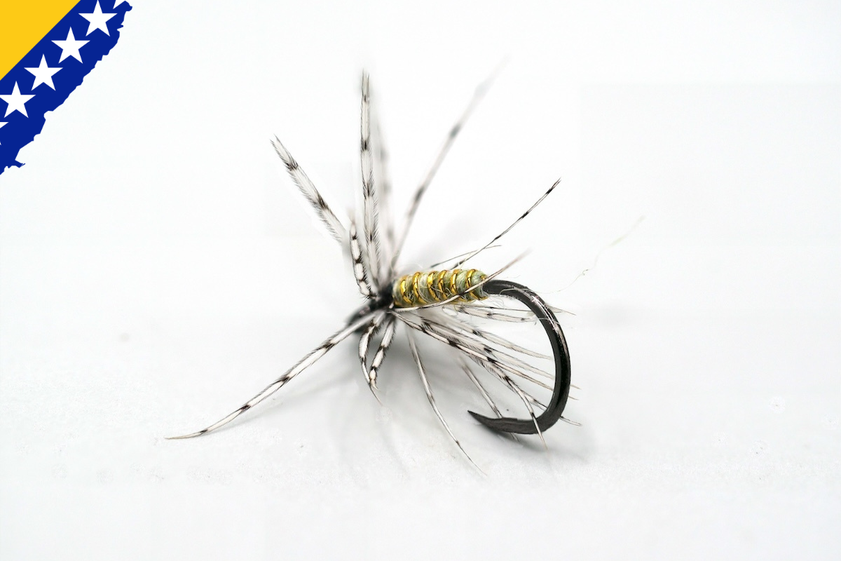 Bosnian Spiders