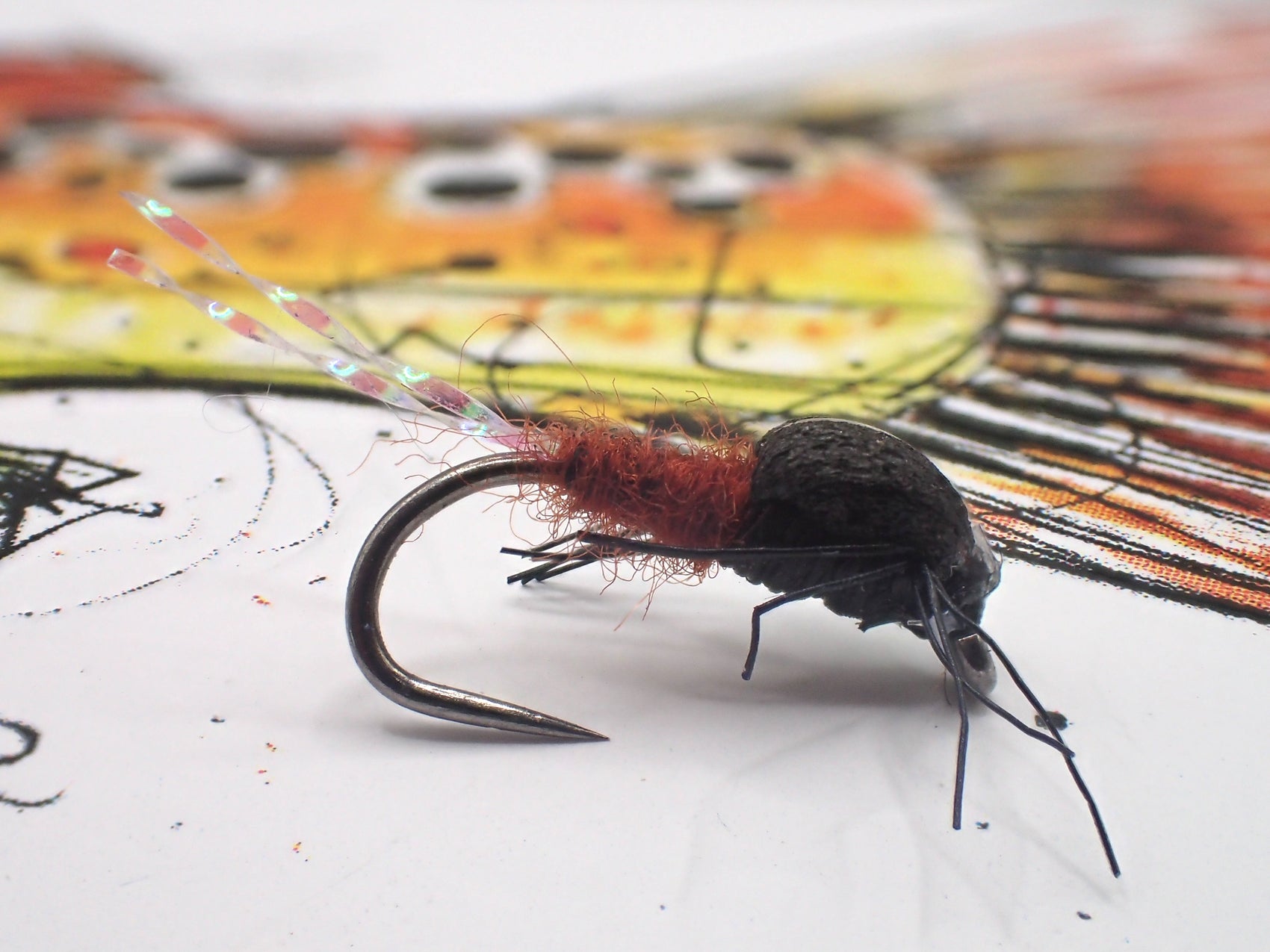 Zig Nymph