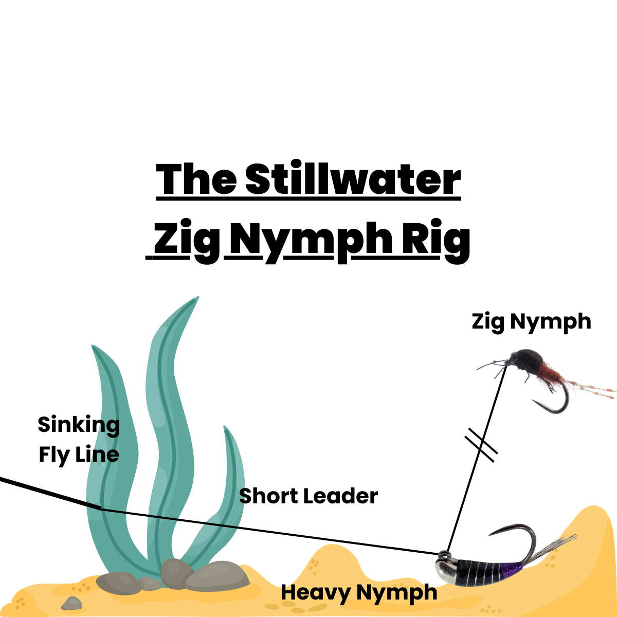 Zig Nymph Selection