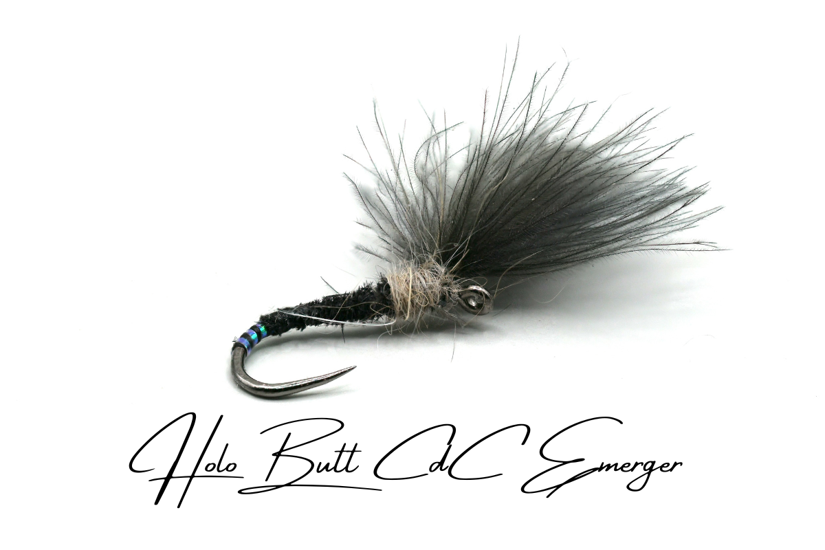 Holo-Butt CdC Emerger