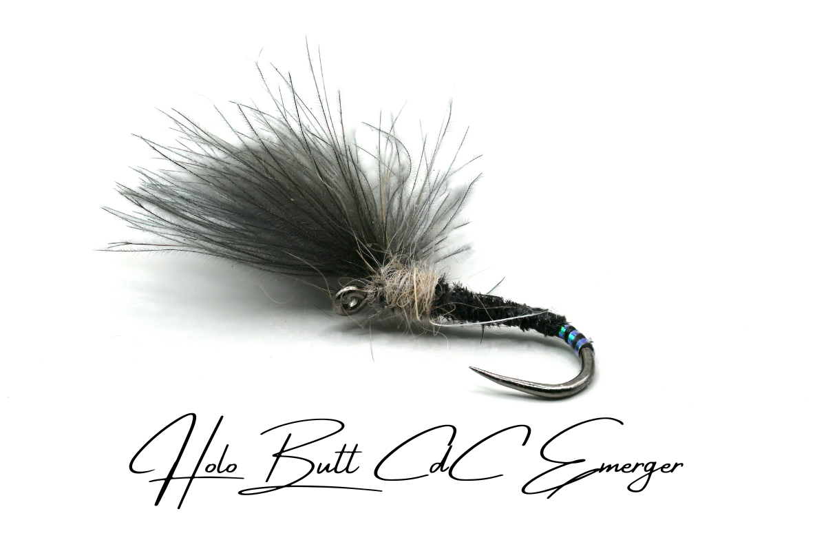 Holo-Butt CdC Emerger