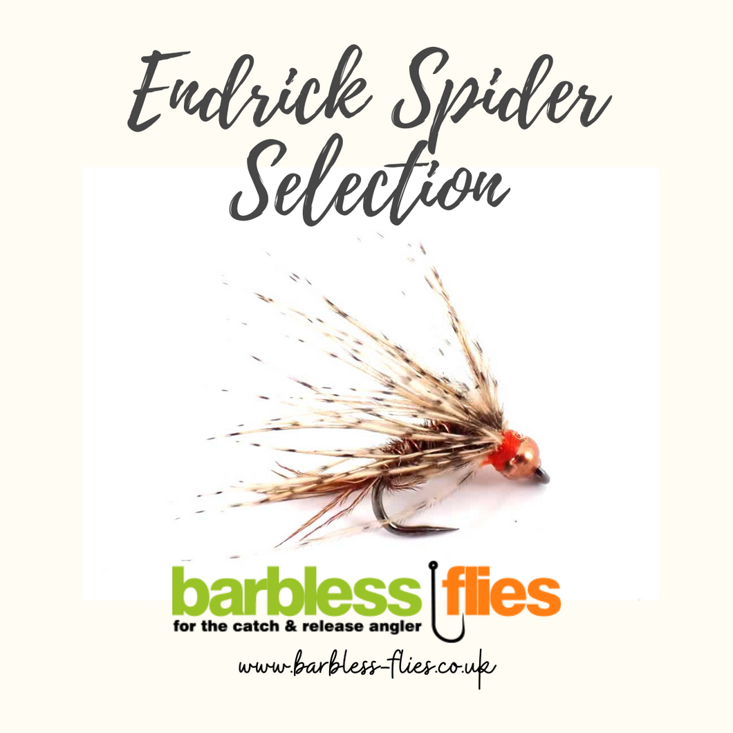 Endrick Spider Selection