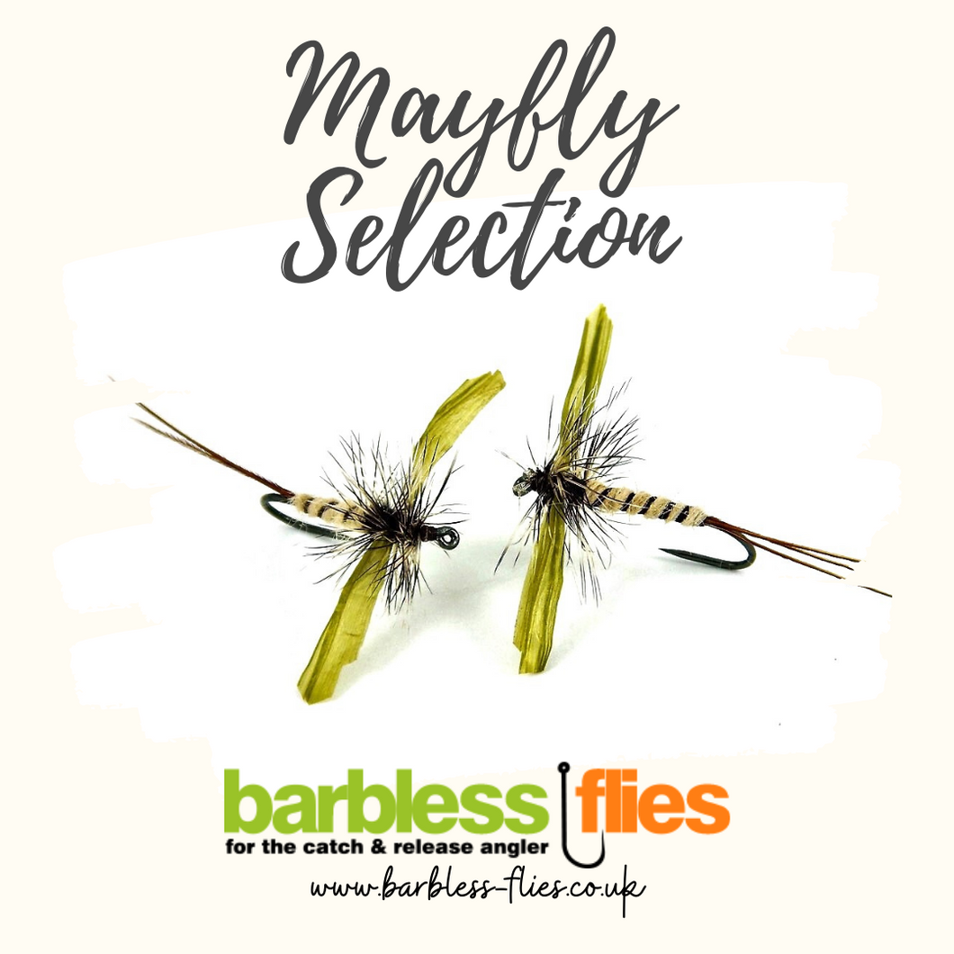 Mayfly Selection