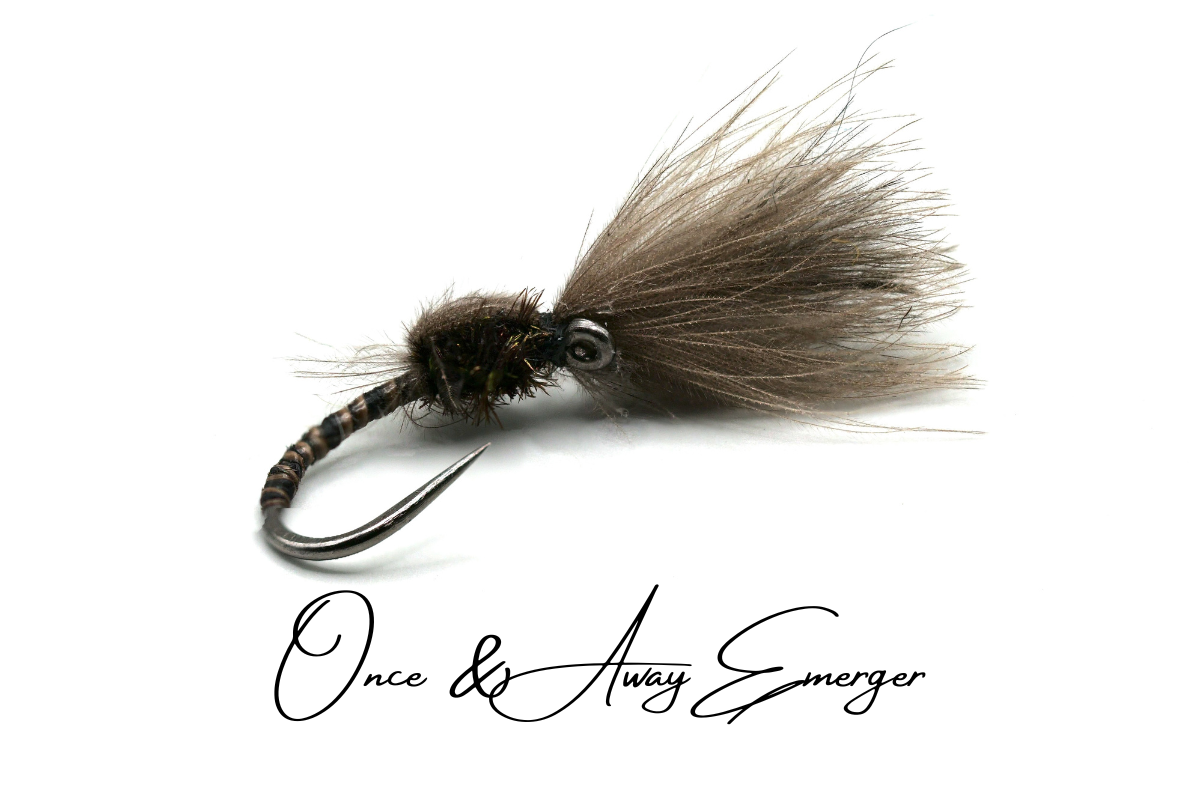 Once & Away CdC Emerger